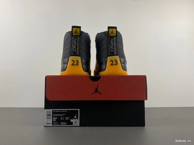 “University Gold” 12  Air Jordan  130690-070 0518